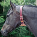 Dare Leather Cribbing Control Collar with Fleece for Horses - SCBT1 - Brown - 1