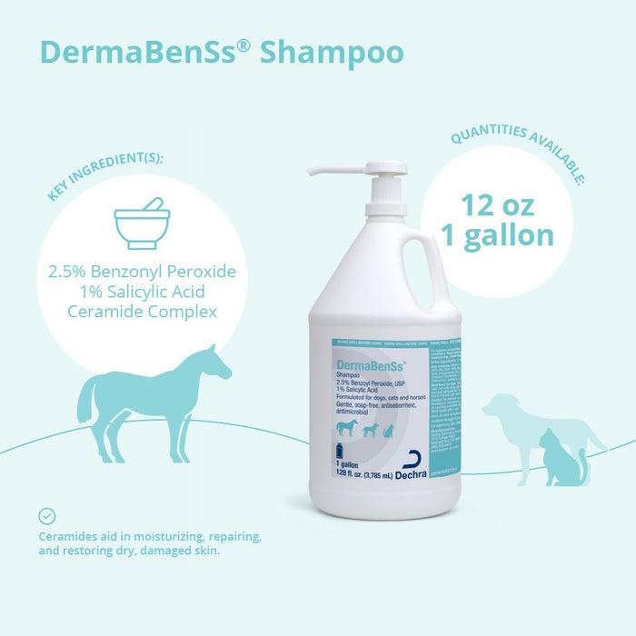 DermaBenSs Medicated Antimicrobial Shampoo for Dogs, Cats & Horses - 013DP-24012 - 1 Gallon - 8