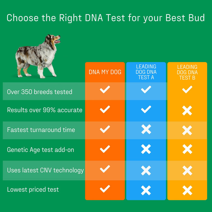 DNA My Dog - Essential Breed ID Test - DNAAC - 1 - 8