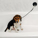 Dog Stay 'n Wash Grooming Noose - PROAA - 1