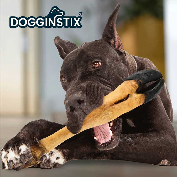Dogginstix Beef Foot Dog Chew – Four Treats in One, Ideal for Small to Medium Dogs - DG2S - 14"L - Beef - 1 ct - 3