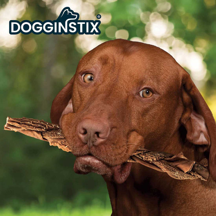 Dogginstix Braided Beef Tripe Natural Dog Chew – Digestible, Nutrient Rich, Omega 3 - DG2V - 6"L - Beef - 1 ct - 4