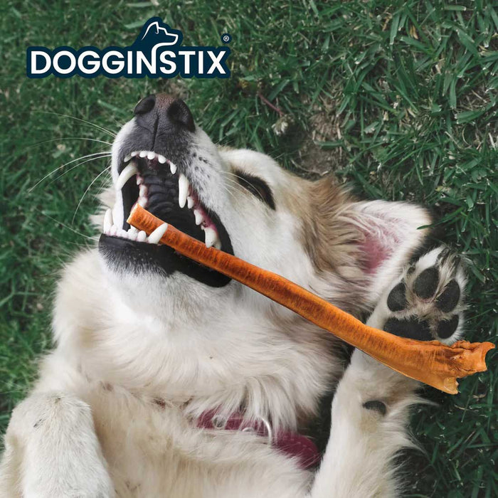 Dogginstix Bully Stick Dog Chew, All - Natural, Grass - Fed Beef, Odor - Free - DG2C - 6"L - Jumbo - 8