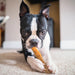 Dogginstix Bully Stick Dog Chew, All - Natural, Grass - Fed Beef, Odor - Free - DG2D - 6"L - Monster - 12