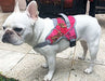 Doggy Tales Patented Realtree Hart Harness, Paradise Pink - DT23T - 60" - 4