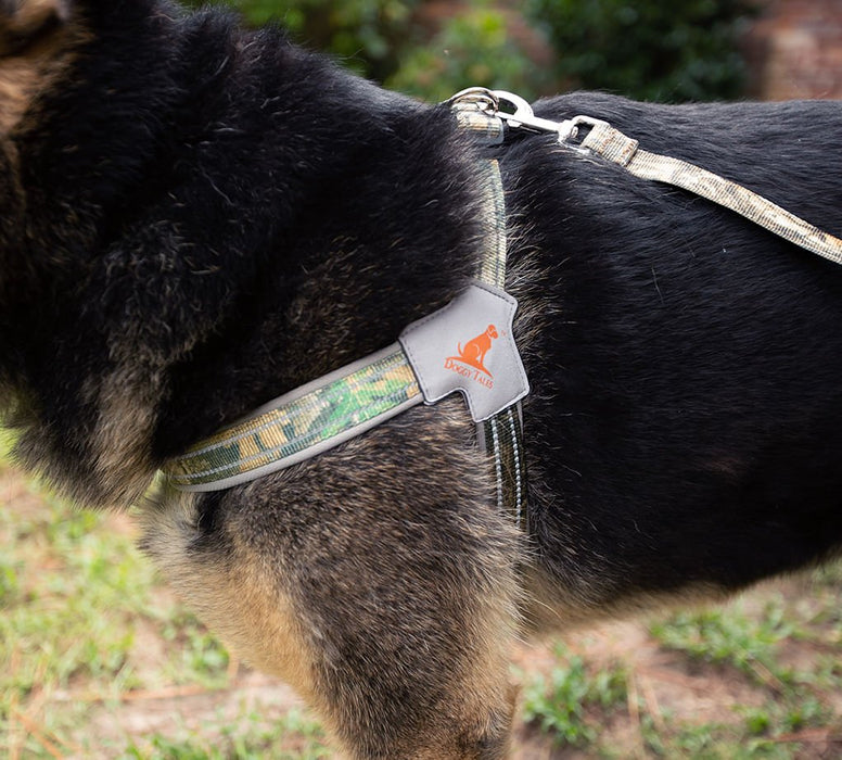 DUPLICATE - WEBDT22V - Doggy Tales Realtree Step In V Harness, Edge - DT22V-DUPE - Small - 3