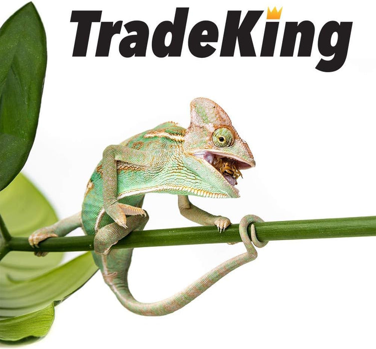 Dried Crickets for Reptiles & Chickens, 1/2 lb - NC27 - 1/2 lb - 2