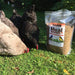 Dried Mealworms for Wild Birds, Chickens, Fish, & Reptiles - NC22 - 1 lbs - 2