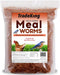 Dried Mealworms for Wild Birds, Chickens, Fish, & Reptiles - NC22 - 1 lbs - 1
