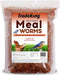 Dried Mealworms for Wild Birds, Chickens, Fish, & Reptiles - NC24 - 5 lbs - 10