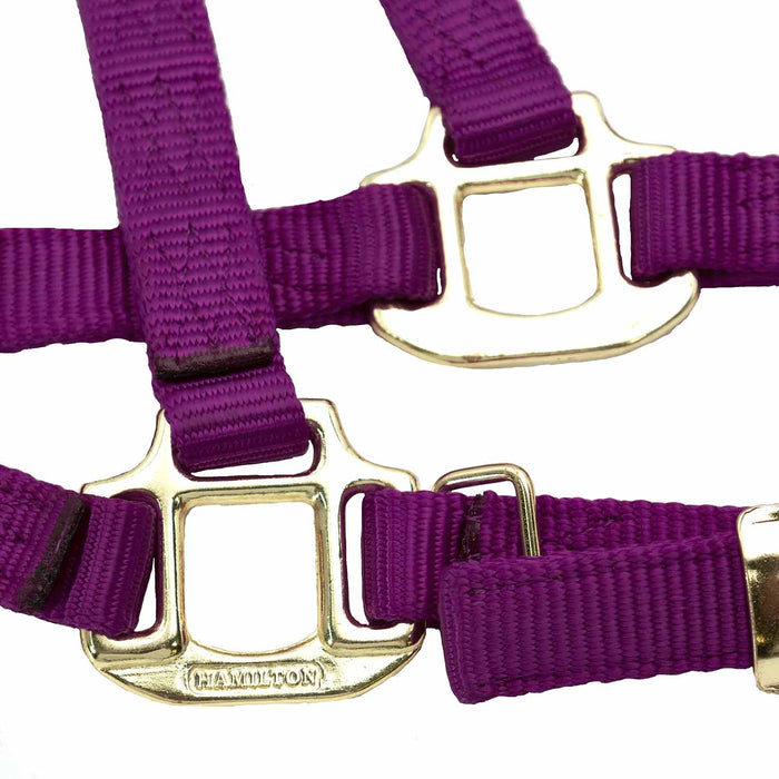 Durable Adjustable 1" Nylon Horse Halter - MBS9 - Wine - Yearling (Adjusts 3 - 5") - 1 - 4