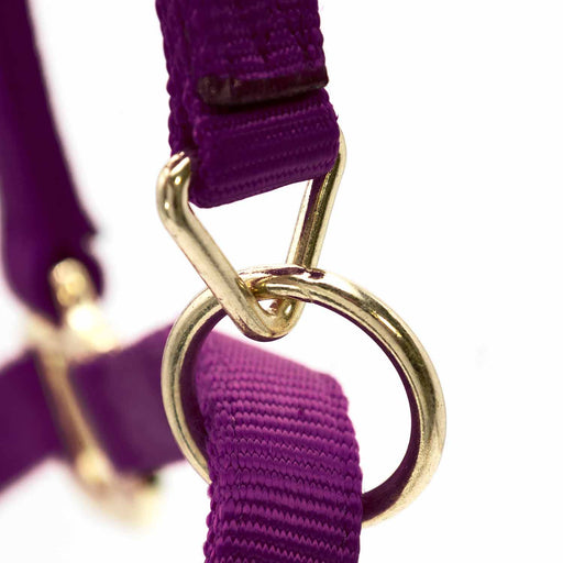 Durable Adjustable 1" Nylon Horse Halter - MBS9 - Wine - Yearling (Adjusts 3 - 5") - 1 - 2