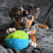 Duraplush FuzzBall Dog Toys - CD2AB - Small - Green - 1 ct - 6