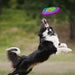 DuraPlush Multi - Colored Flyer Plush Dog Toy, Large - CD2W - Large - 1 ct - 3