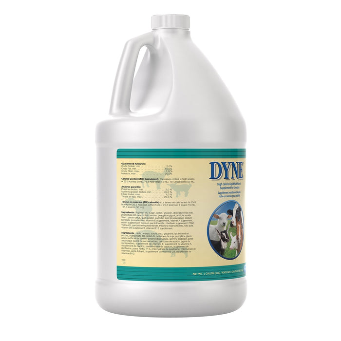 Dyne High Calorie Liquid Nutritional Supplement for Livestock - B7AK - Gallon - 5