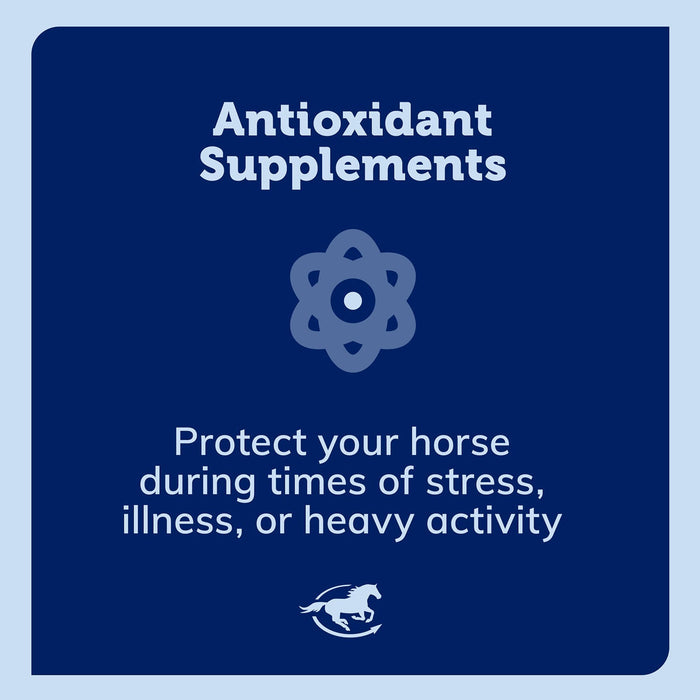 E - 5000, Vitamin E Supplement for Horses, Powder - SMA9 - 2 lbs - 60 Day Supply - 4