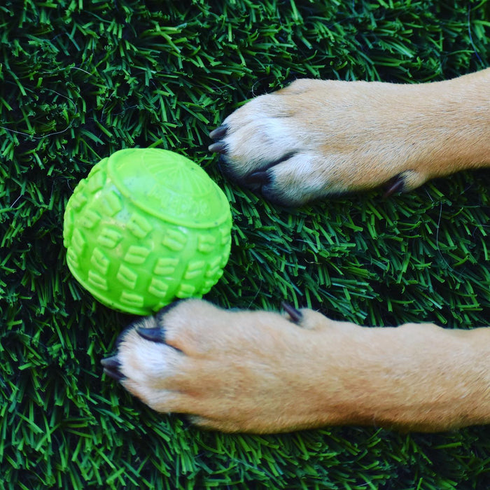 Ecolast High Roller Rubber Dog Toy - CD2CA - Medium - Blue - 1 ct - 6