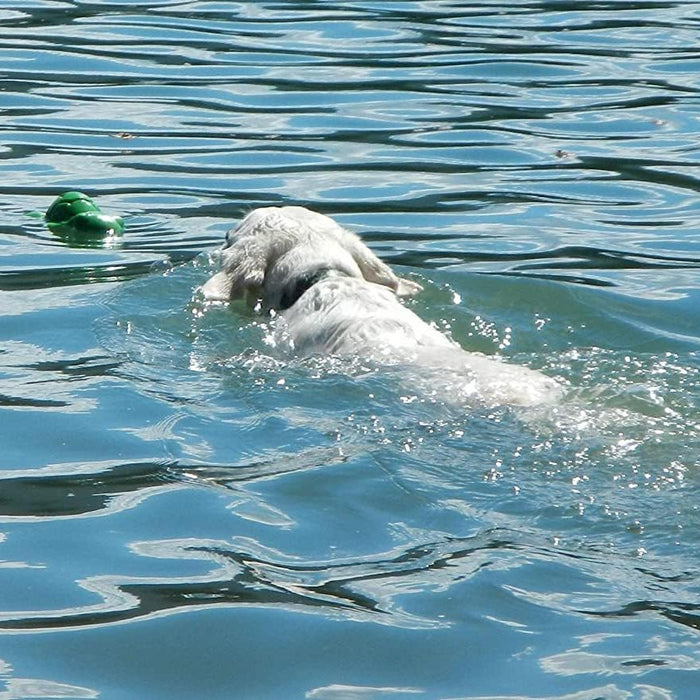 Ecolast Rubber Floating Hippo / Turtle Dog Toys, 1 ct - CD2BM - Hippo - Small - Blue - 6