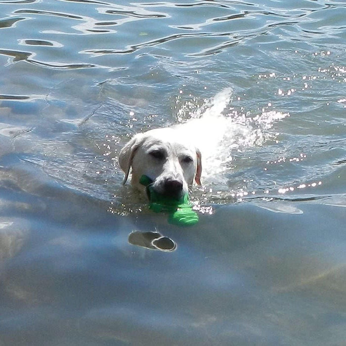 Ecolast Rubber Floating Hippo / Turtle Dog Toys, 1 ct - CD2BM - Hippo - Small - Blue - 5