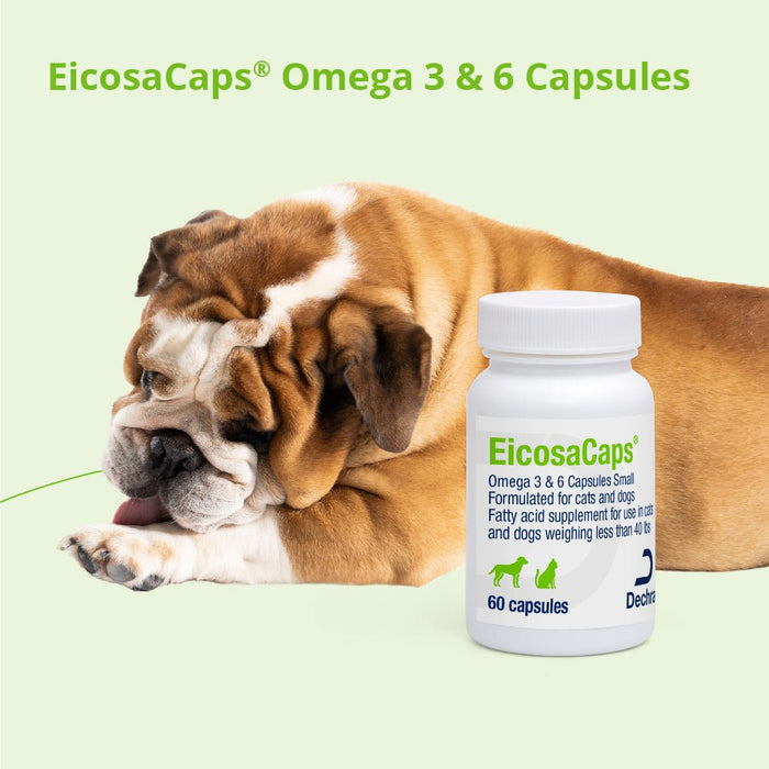 EicosaCaps Omega 3 & 6 for Dogs and Cats - 015DP-0-40L - 41 - 70 lbs - 4