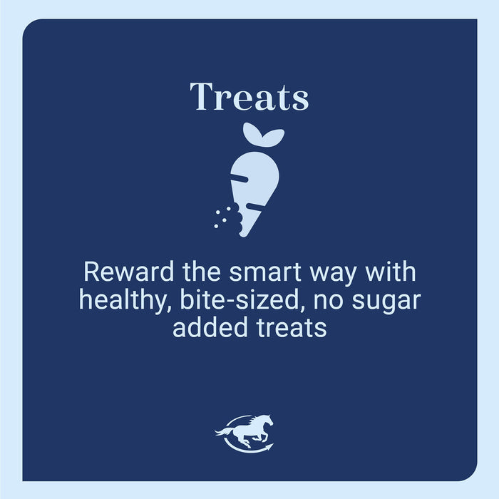 Equi Treats Bite - Sized Pellets for Horses & Ponies - SMABH - 12 oz - Peppermint - 10