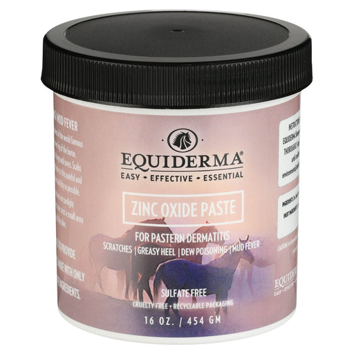 Equiderma Zinc Oxide Paste, 16 oz - AABAX - 1