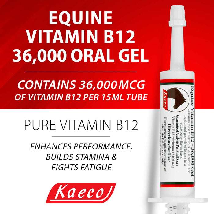Equine Vitamin B12 Gel, 15 mL (3 Dose) Tube - KKE7 - 3 Doses - 36000 mcg per 15 mL tube - 2