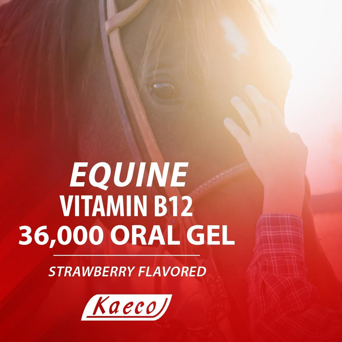 Equine Vitamin B12 Gel, 15 mL (3 Dose) Tube - KKE7 - 3 Doses - 36000 mcg per 15 mL tube - 4