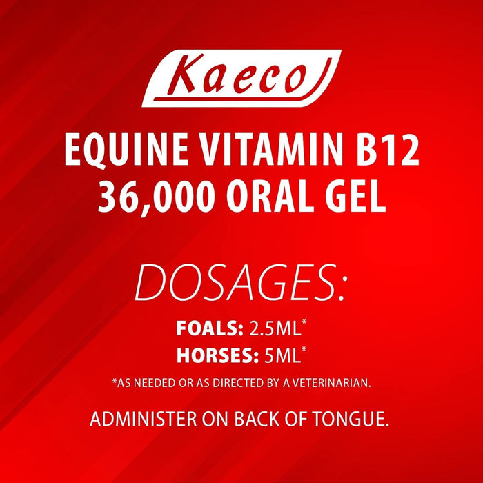 Equine Vitamin B12 Gel, 15 mL (3 Dose) Tube - KKE7 - 3 Doses - 36000 mcg per 15 mL tube - 3