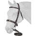 Equitare Cadence Hunter Bridle - JTIA72 - 1