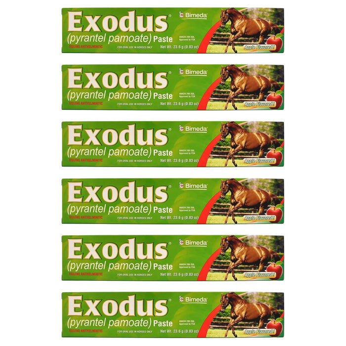 Exodus Pyrantel Pamoate Horse Dewormer Paste - 4CE1-6 - Single Dose Syringe (23.6 g) - 6 Pack - 6