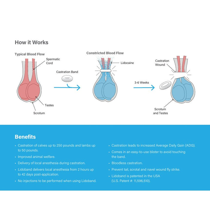 EZE Bloodless Cattle Band Castrator with Lidobands EZE + Clips, 20 ct - 7V1E - Refill Lidoband EZE + CLIPS (ONLY) 20 ct - 5