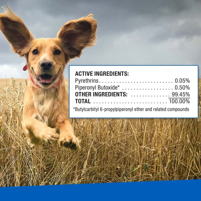 ADAMS Ear Mite Treatment For Dogs and Cats Over 12 Weeks, Soothing Aloe and Lanolin Formula, .5 Fl oz Size 0.5 fluid ounces