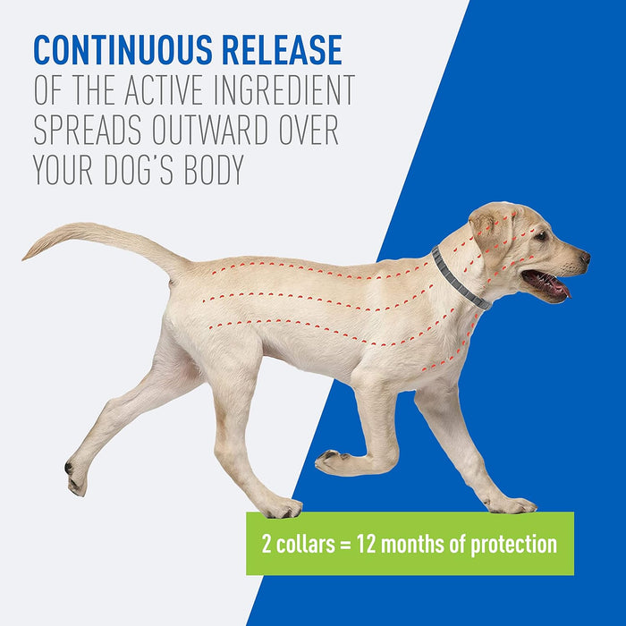 ADAMS Flea & Tick Collar for Dogs & Puppies, 2 Pack, 12 Months Protection, Adjustable One Size Collar Fits All Dogs 12 Weeks & Older