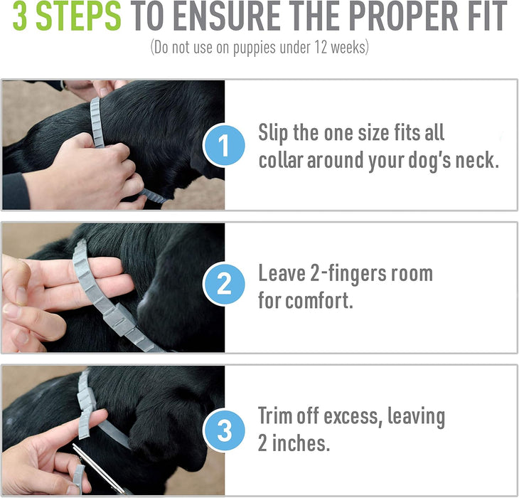 ADAMS Flea & Tick Collar for Dogs & Puppies, 2 Pack, 12 Months Protection, Adjustable One Size Collar Fits All Dogs 12 Weeks & Older