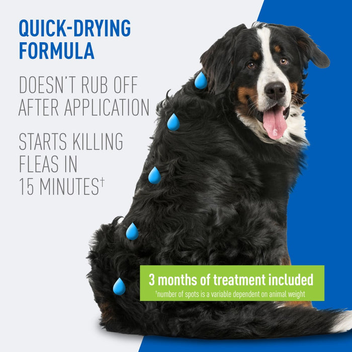 ADAMS Plus Flea & Tick Prevention Spot On for Dogs