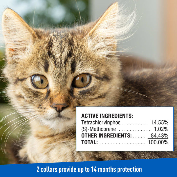 ADAMS Plus Flea & Tick Breakaway Collar for Cats, 2 Pack - 14 Months Protection