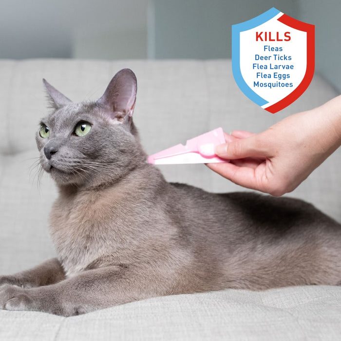 ADAMS Plus Flea & Tick Spot On for Cats, 3 Month Supply