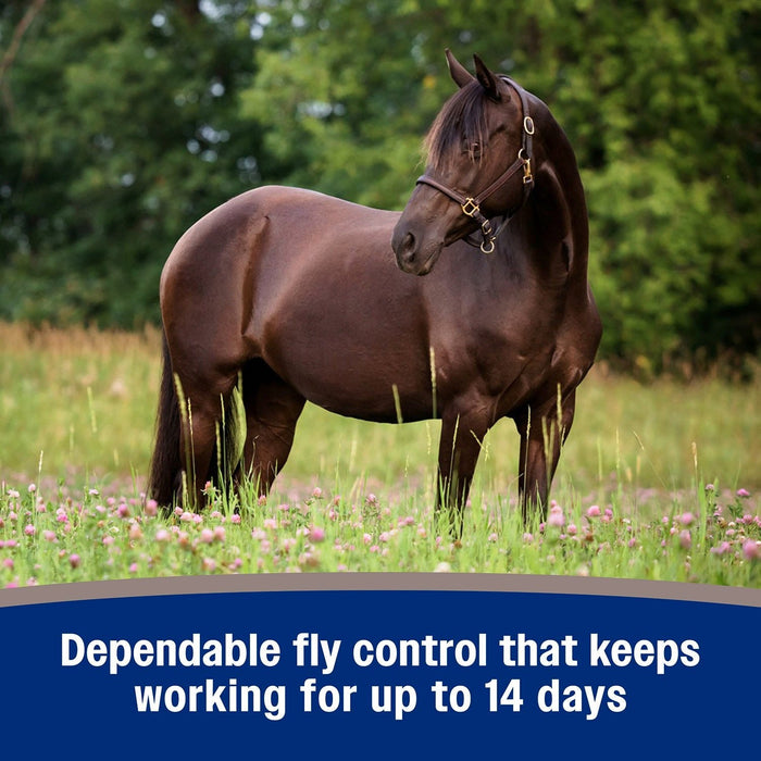 Farnam Tri - Tec 14 Fly Repellent for Horses - FATP - TRI - TEC 14 Ez Pour, Gallon - 8