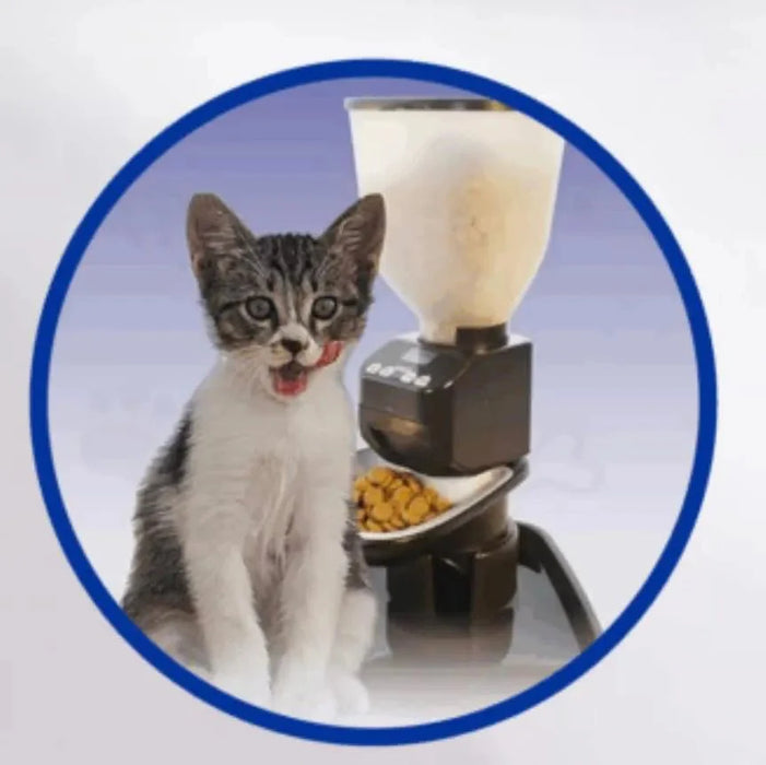 Feeding Friend Automatic Pet Feeder – Timed Portion Control Food & Water Dispenser for Cats and Dogs - RL33 - Taupe - Small - 1 - 20