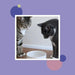 Feeding Friend Automatic Pet Feeder – Timed Portion Control Food & Water Dispenser for Cats and Dogs - RL33 - Taupe - Small - 1 - 30