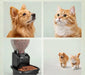 Feeding Friend Automatic Pet Feeder – Timed Portion Control Food & Water Dispenser for Cats and Dogs - RL33 - Taupe - Small - 1 - 22