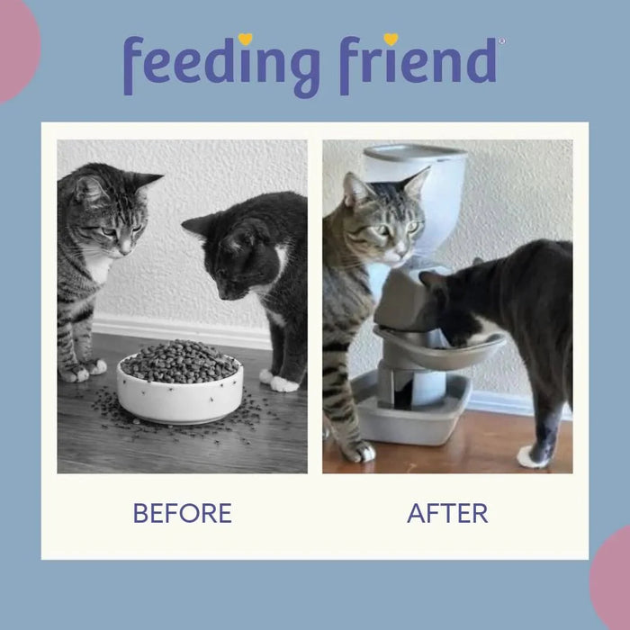 Feeding Friend Automatic Pet Feeder – Timed Portion Control Food & Water Dispenser for Cats and Dogs - RL33 - Taupe - Small - 1 - 31