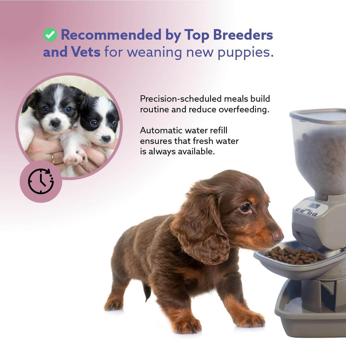 Feeding Friend Automatic Pet Feeder – Timed Portion Control Food & Water Dispenser for Cats and Dogs - RL33 - Taupe - Small - 1 - 12
