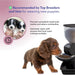 Feeding Friend Automatic Pet Feeder – Timed Portion Control Food & Water Dispenser for Cats and Dogs - Jeffers - Animal & Pet Supplies > Pet Bowls, Feeders & Waterers