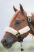 Fleece Halter Cover Set, Natural - Jeffers - Horse Supplies > Horse Tack > Horse Halters