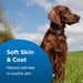 Fresh 'n Clean Oatmeal 'n Baking Soda 10:1 Concentrate Dog Shampoo - L3FU - Gallon - 4
