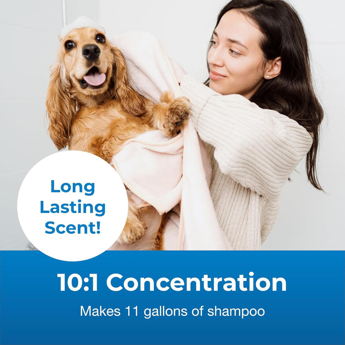 Fresh 'n Clean Oatmeal 'n Baking Soda 10:1 Concentrate Dog Shampoo - L3FU - Gallon - 3