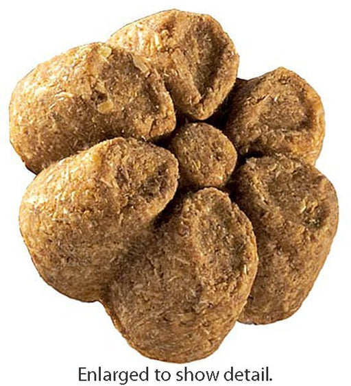 Fruitables Calorie Smart Crunchy Dog Treats, 7 oz - VETAK - Bacon/Apple - 2