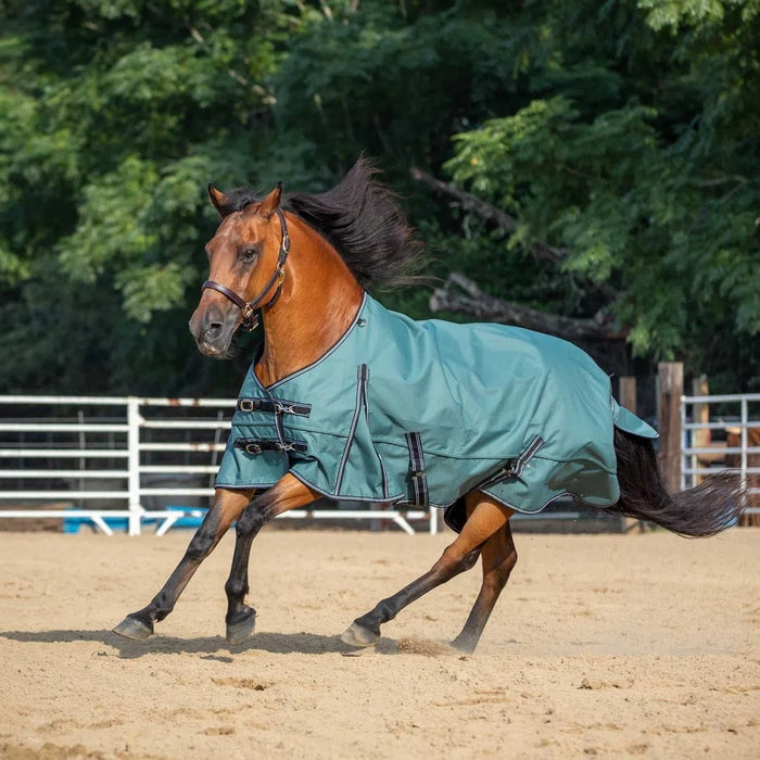 Jeffers Economy Plus Lightweight Standard Neck Horse Horse Turnout Sheet, 1200 Denier, 0 g Fill, Sage Green